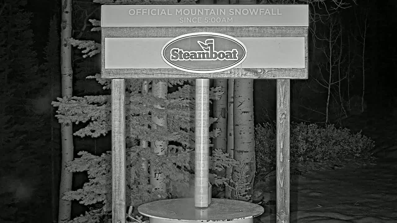 A nighttime, snow-covered scene shows a wooden snow gauge standing in a grove of aspen trees.