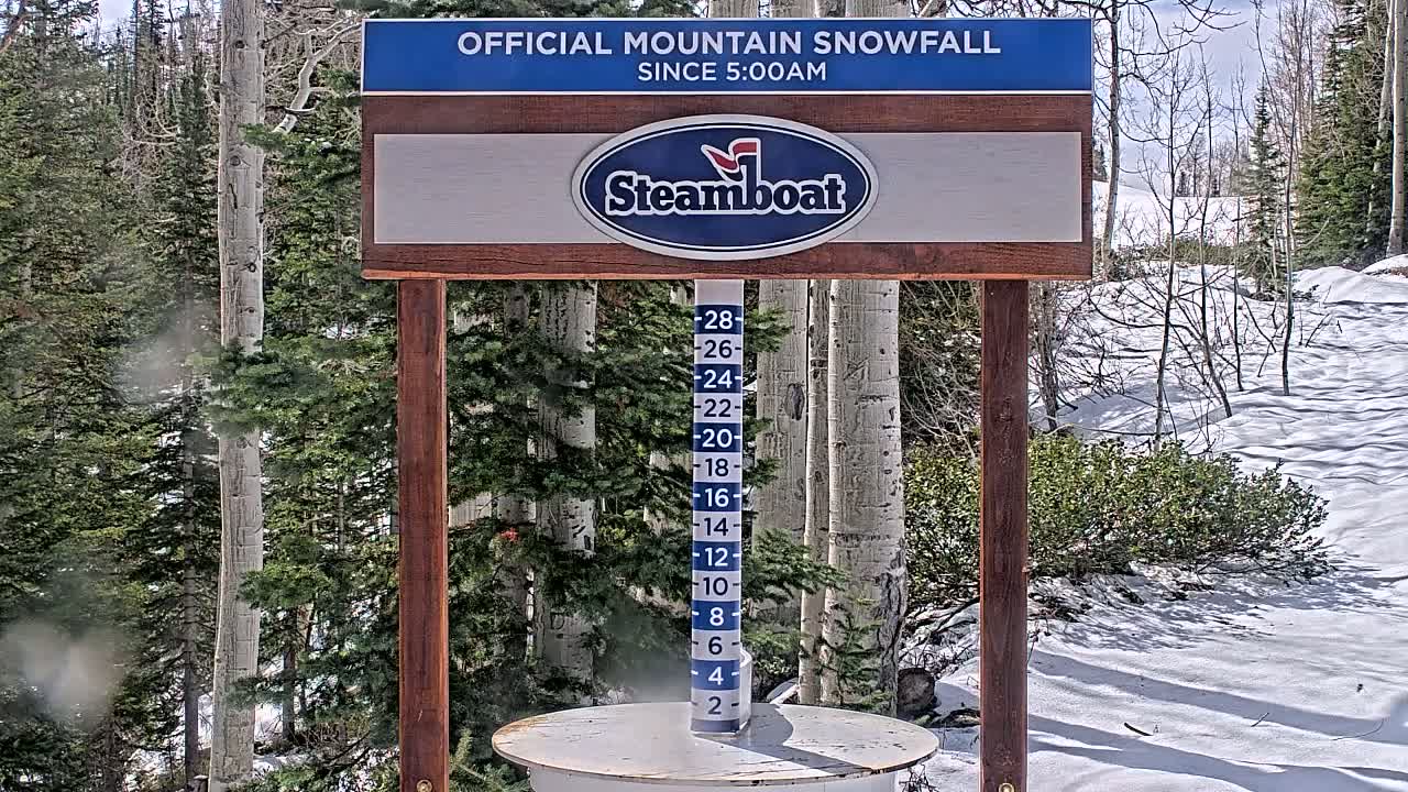 A snow measuring device shows recent snowfall in a snowy landscape of Aspen trees under a partly sunny sky.