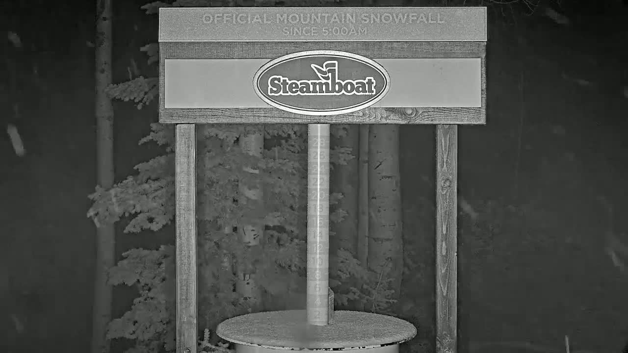A snow gauge is shown in the snow during a nighttime snowfall in front of a line of trees.