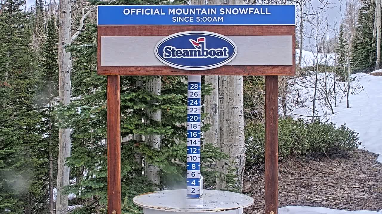 A snow measuring device stands in a snowy, wooded area under a partly cloudy sky.