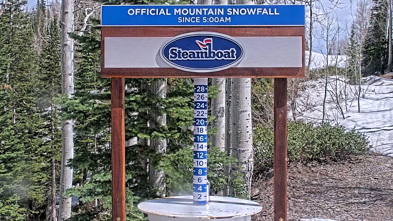 A snow gauge showing recent snowfall stands in a sunny, partially snow-covered mountain forest.