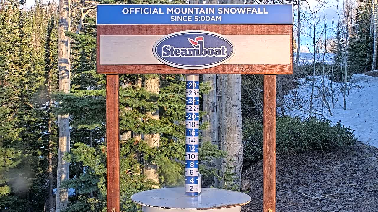 A snow-measurement gauge stands on a wooden post in a snowy, wooded area under a partly sunny sky.