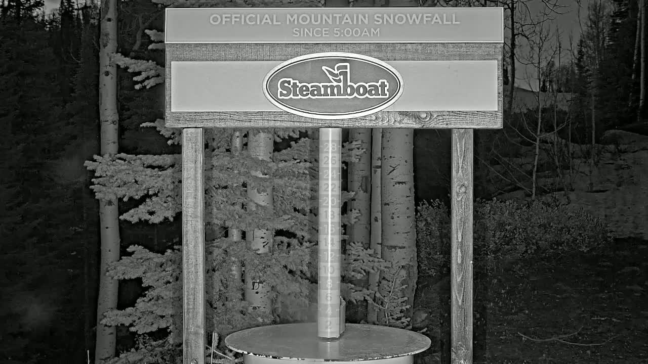 A snow measuring device stands in a snow-covered forest at night.