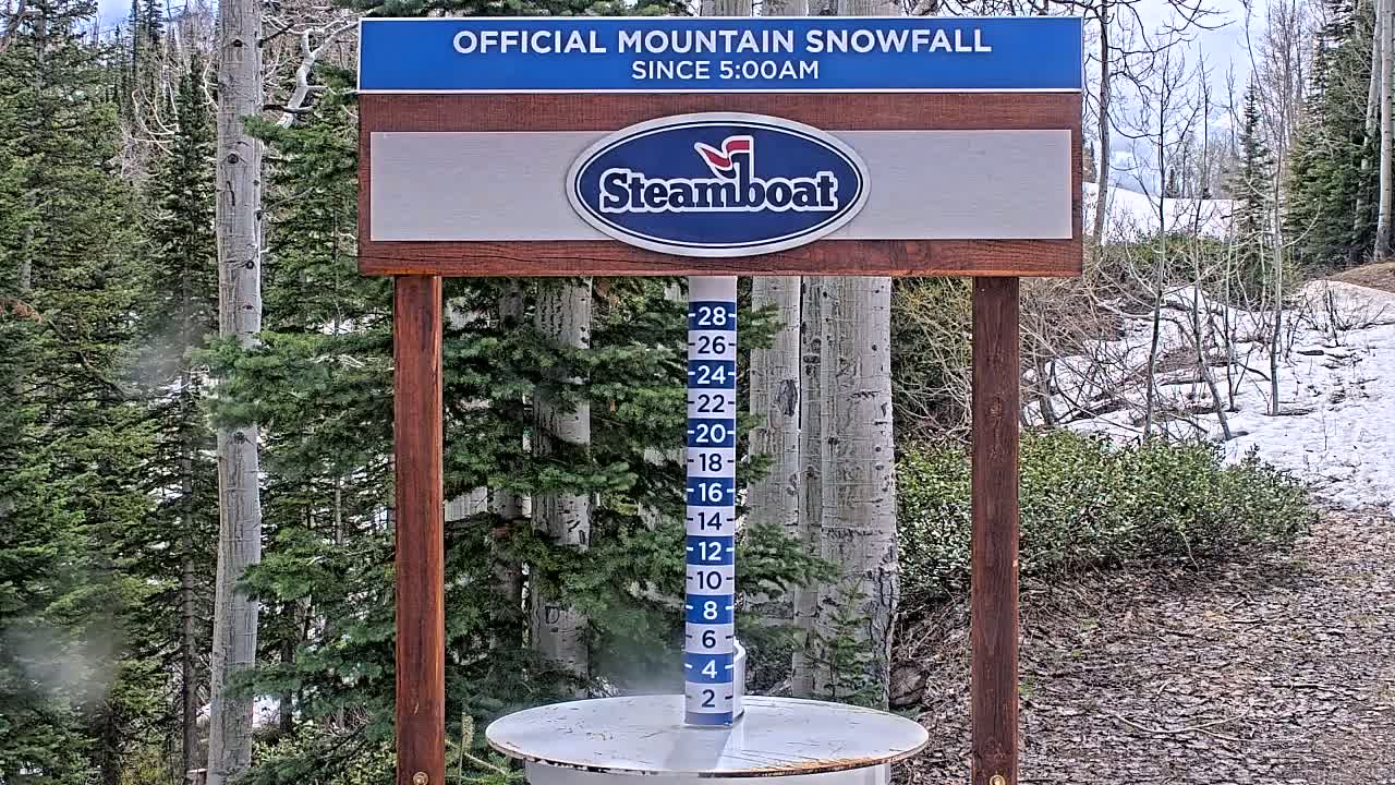 A snow measurement gauge stands in a snowy, wooded area under a partly cloudy sky.