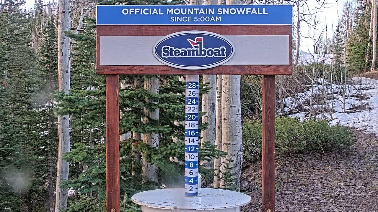 A snow measurement gauge stands in a snowy, wooded area with aspen trees.