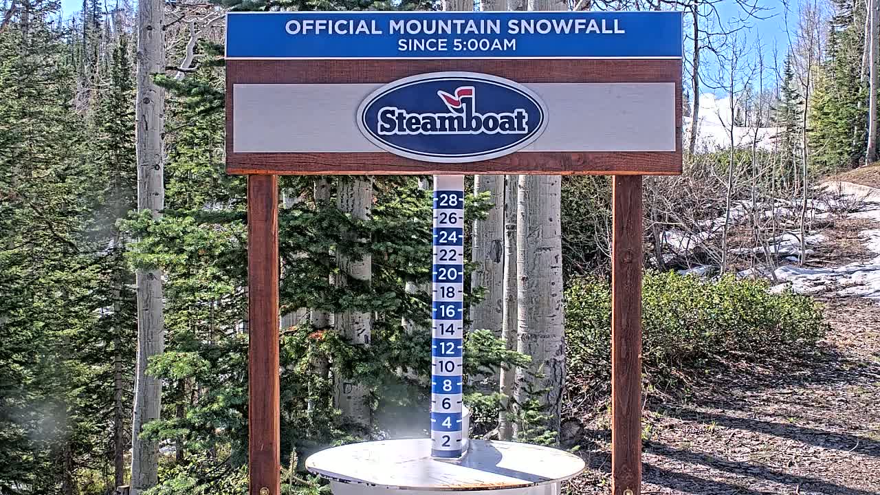A wooden snow stake shows the amount of snowfall against a backdrop of evergreens and aspens under a sunny sky.