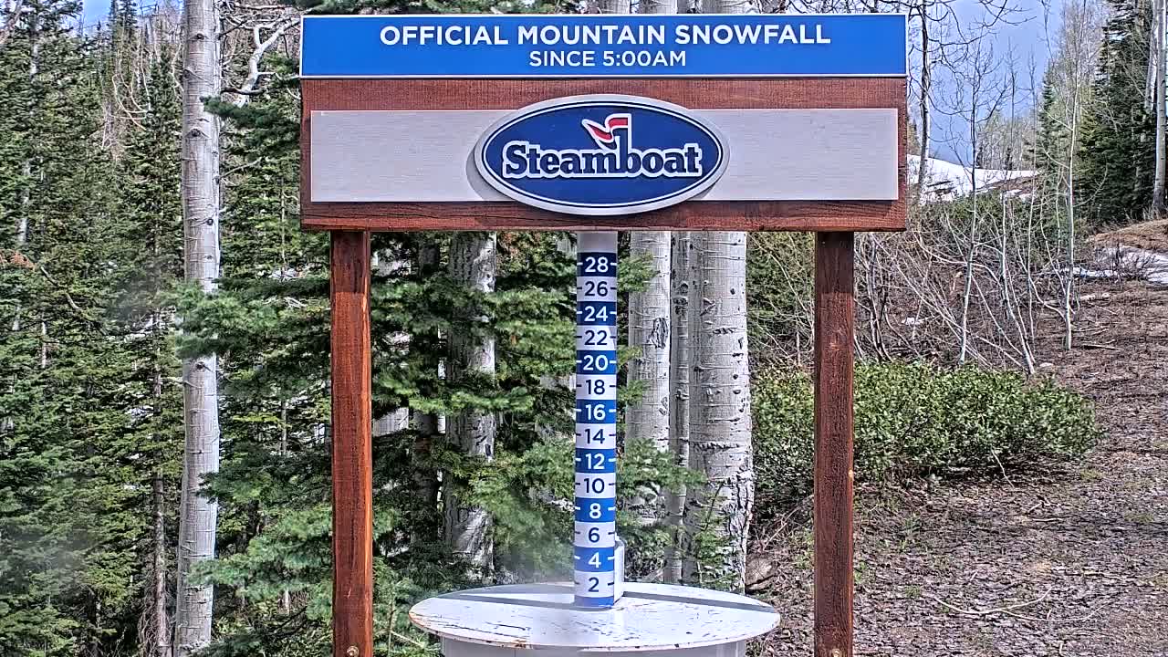 A snow gauge indicating recent snowfall stands in front of a wooden sign and a background of trees on a partly sunny day.