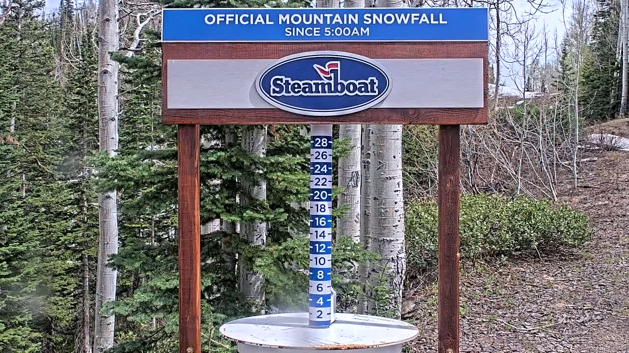 A wooden sign displaying a snowfall measurement of at least 28 inches in a forest of evergreen and aspen trees.