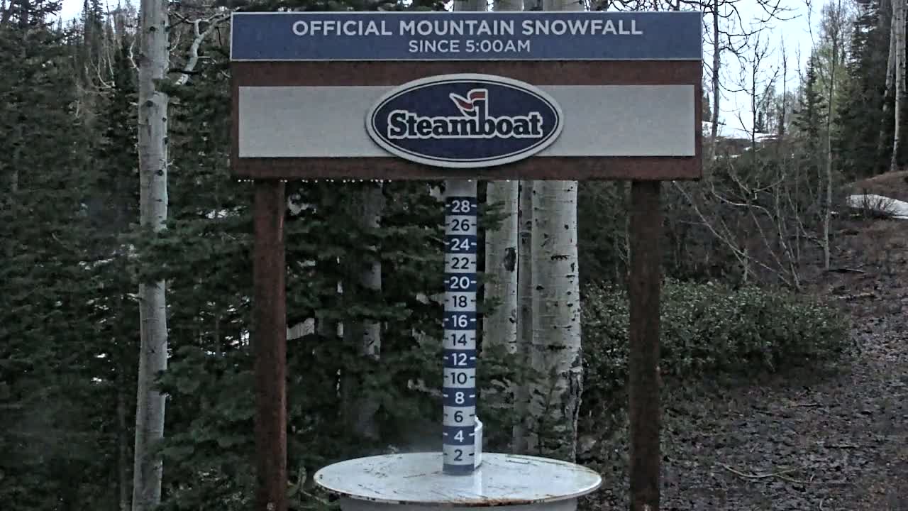 A snow measurement gauge shows recent snowfall in a wooded area under an overcast sky.