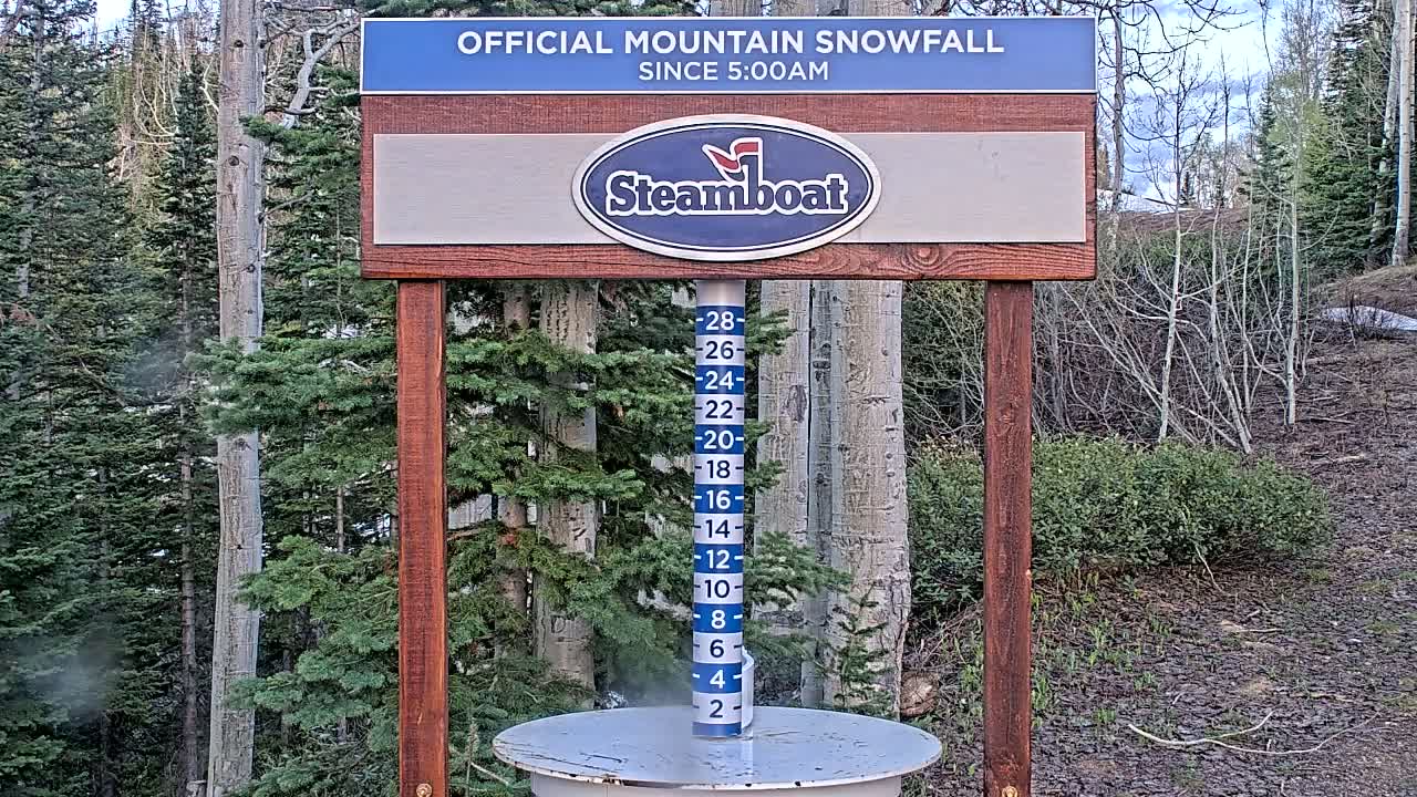A wooden snow measurement gauge displays recent snowfall in a mountainous area with evergreen and aspen trees under a partly cloudy sky.