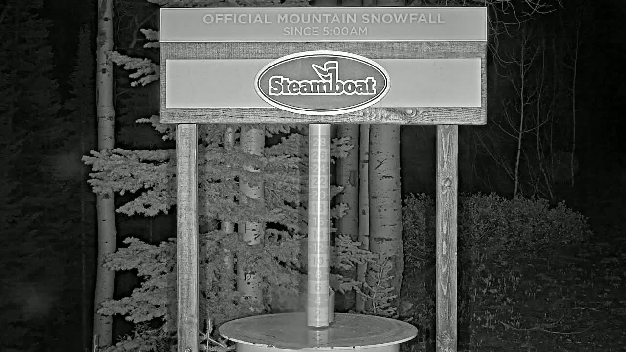 A nighttime, snow-measuring device stands in a wooded area.