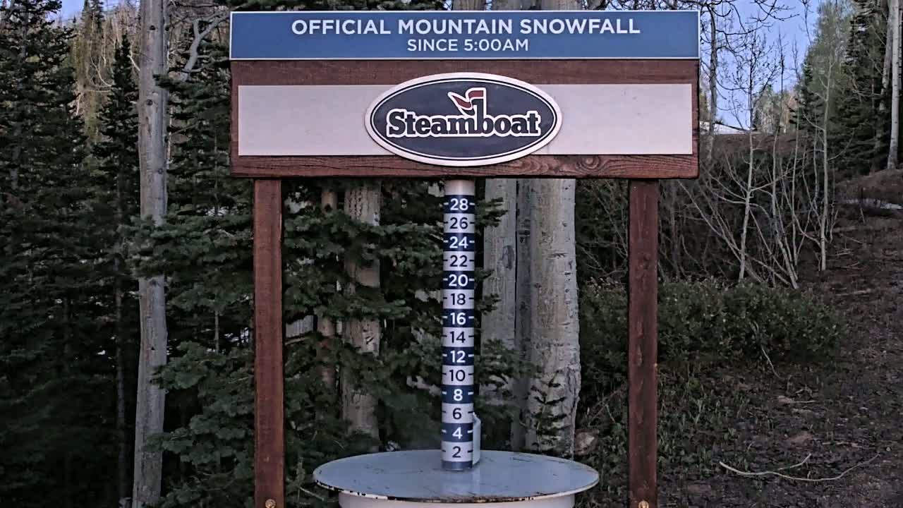 A wooden sign displaying a snowfall measurement next to a stand of evergreen trees under a twilight sky.