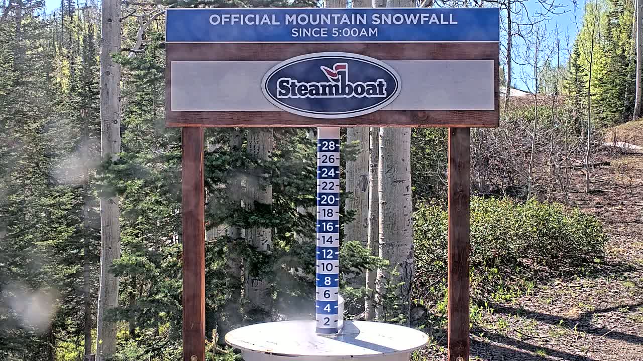 A snow measurement gauge stands in a sunny, wooded area with light snowfall.