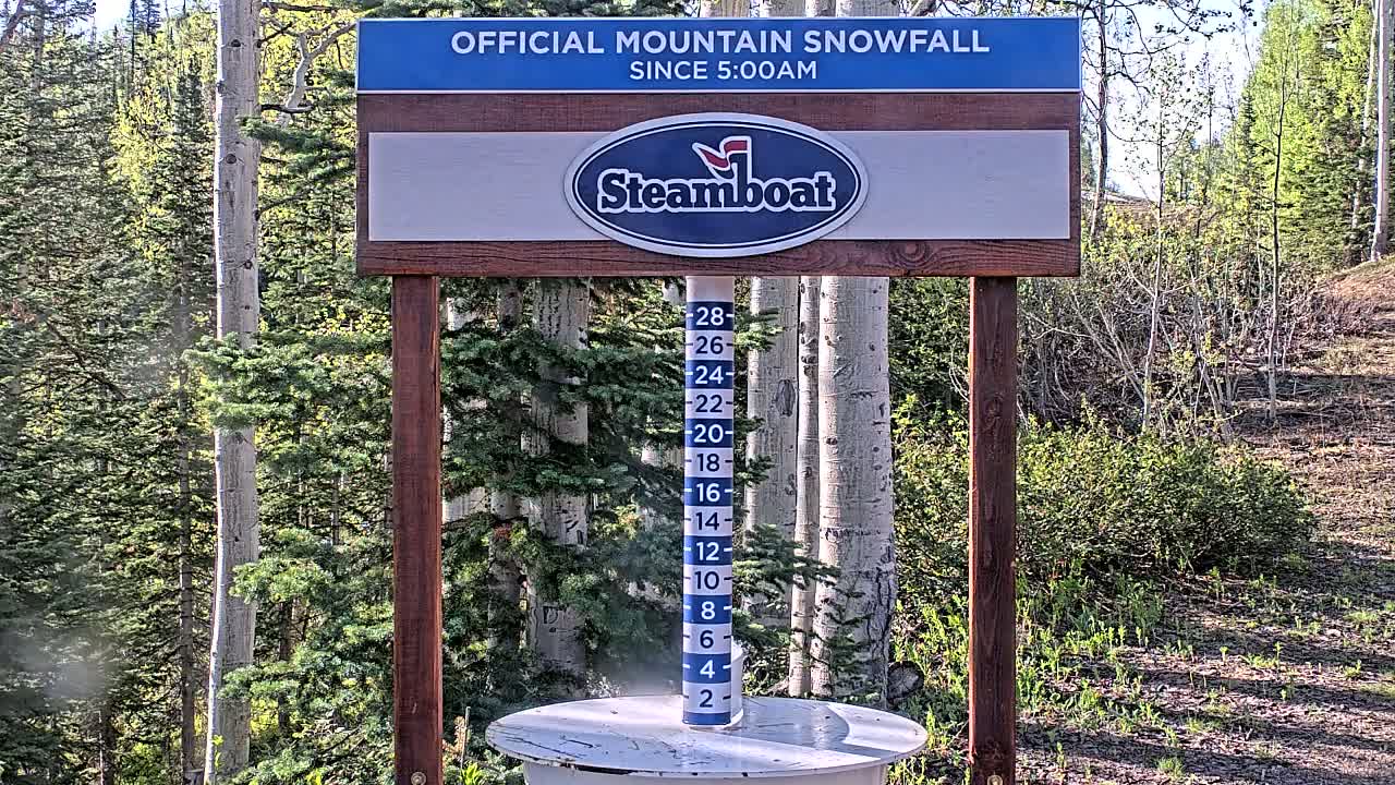 A snow gauge stands in a sunny forest of aspen and evergreen trees.