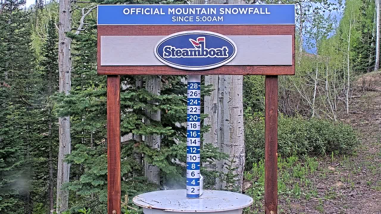 A wooden sign displaying a snowfall measurement device sits in a forest of evergreen and aspen trees.