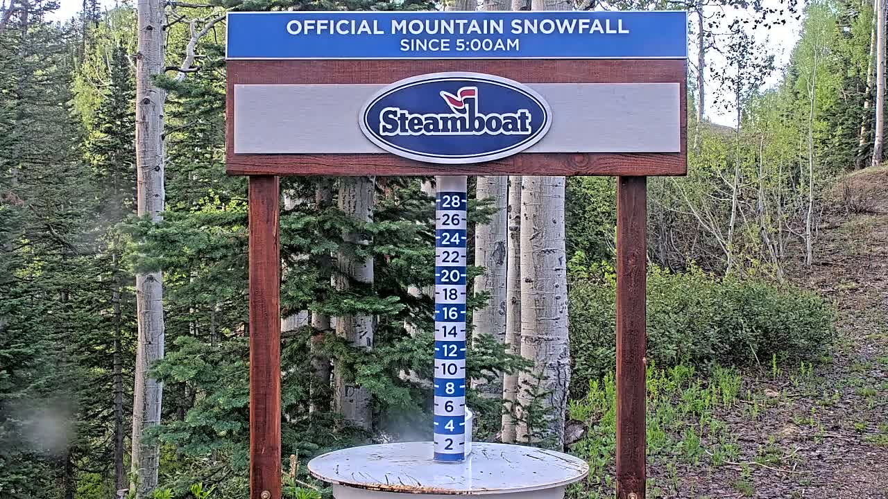 A snow measurement gauge shows snowfall accumulation in a forest of aspen and evergreen trees.