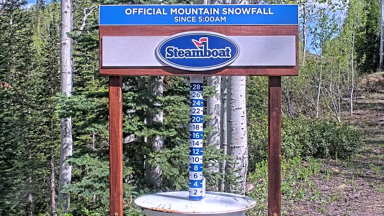 A wooden sign displaying a snowfall measurement gauge stands in a sunny forest of aspen and evergreen trees.