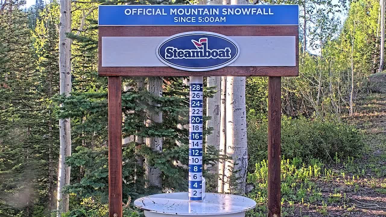 A snow measurement gauge shows recent snowfall in a forested area.
