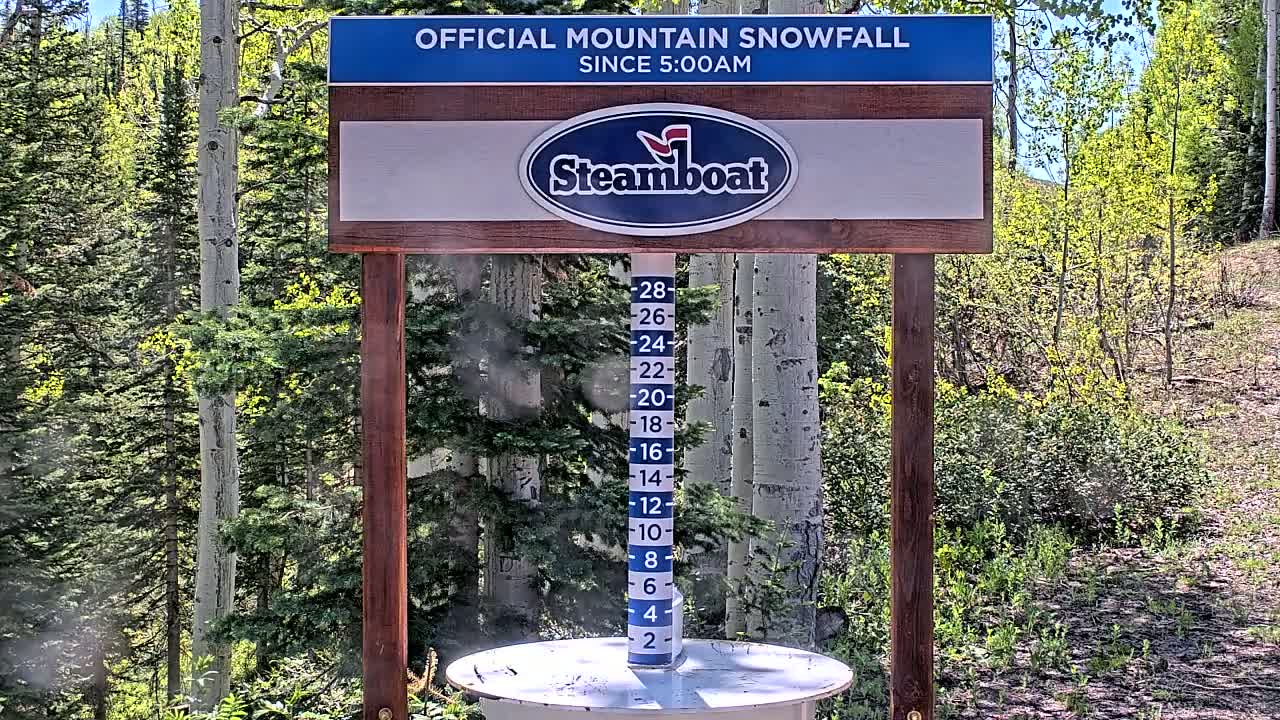 A wooden snow measurement station shows zero snowfall against a backdrop of a sunny, green aspen and conifer forest.