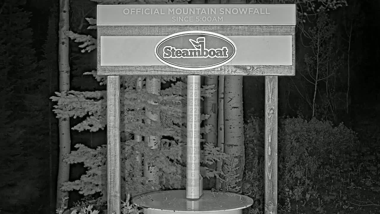 A snow gauge stands in a nighttime forest setting under snowy conditions.