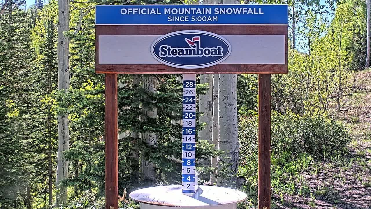 A snow measurement gauge stands on a round base beneath a sign in a sunny, wooded area.