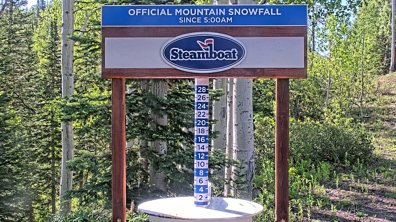 A wooden snow-measurement station with a numbered gauge shows snowfall accumulation in a sunny forest.