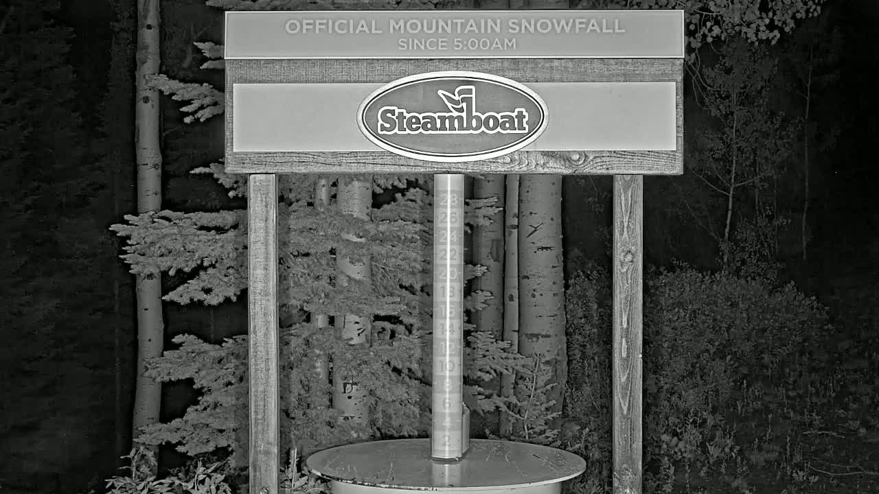 A nighttime grayscale image shows a snow gauge in a wooded area, indicating snowfall.