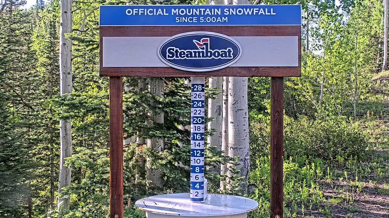A wooden sign displaying a snowfall measurement gauge stands in a sunny forest of aspen and evergreen trees.
