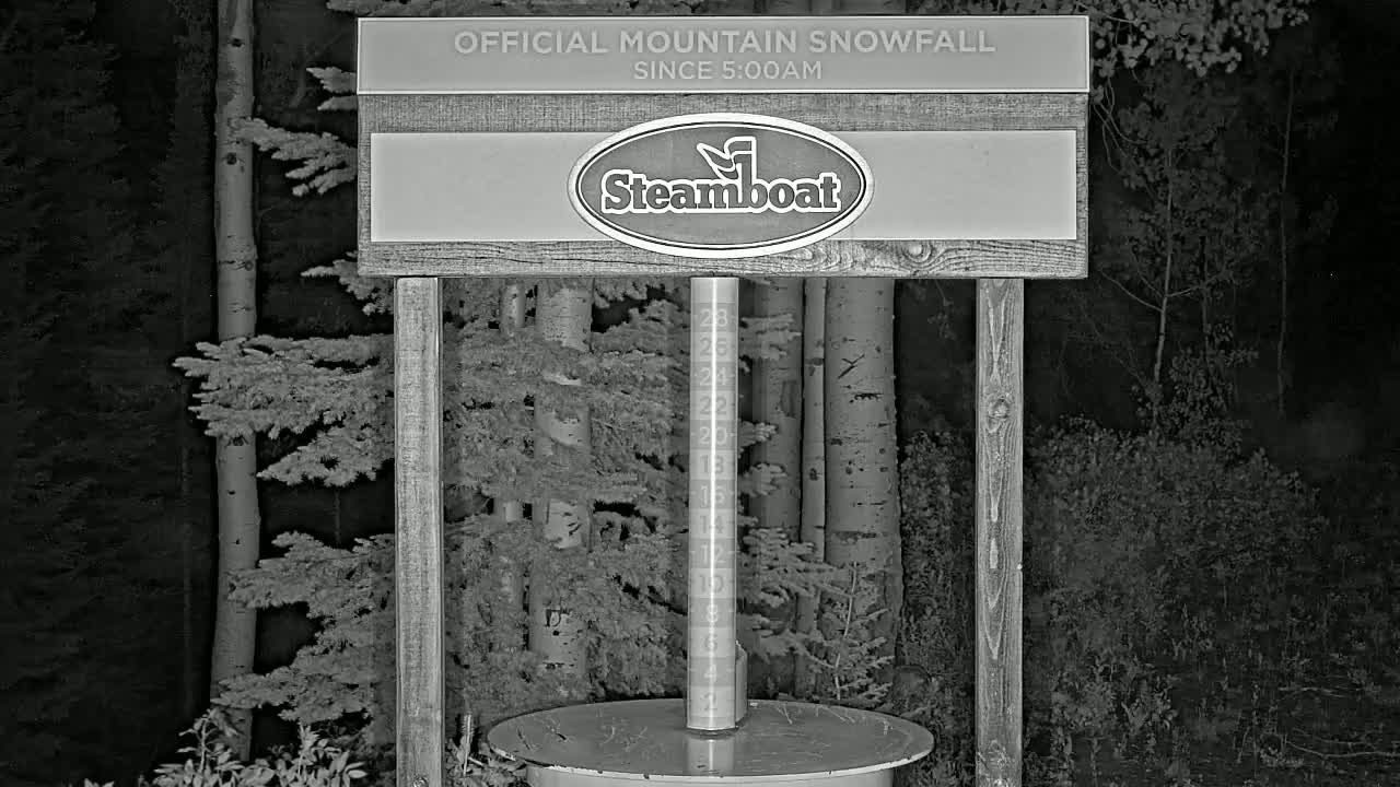 A snow gauge shows snowfall accumulation at night in a forest of aspen trees.