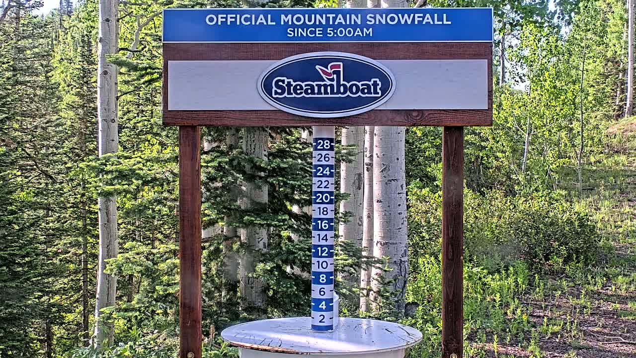 A snow measurement gauge stands in a sunny forest of evergreen and aspen trees.