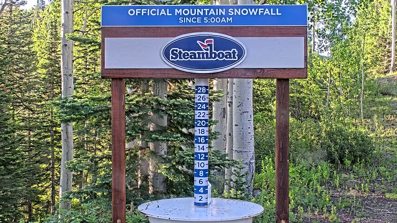 A snow measurement gauge shows snowfall accumulation in a forest of aspen and evergreen trees on a sunny day.