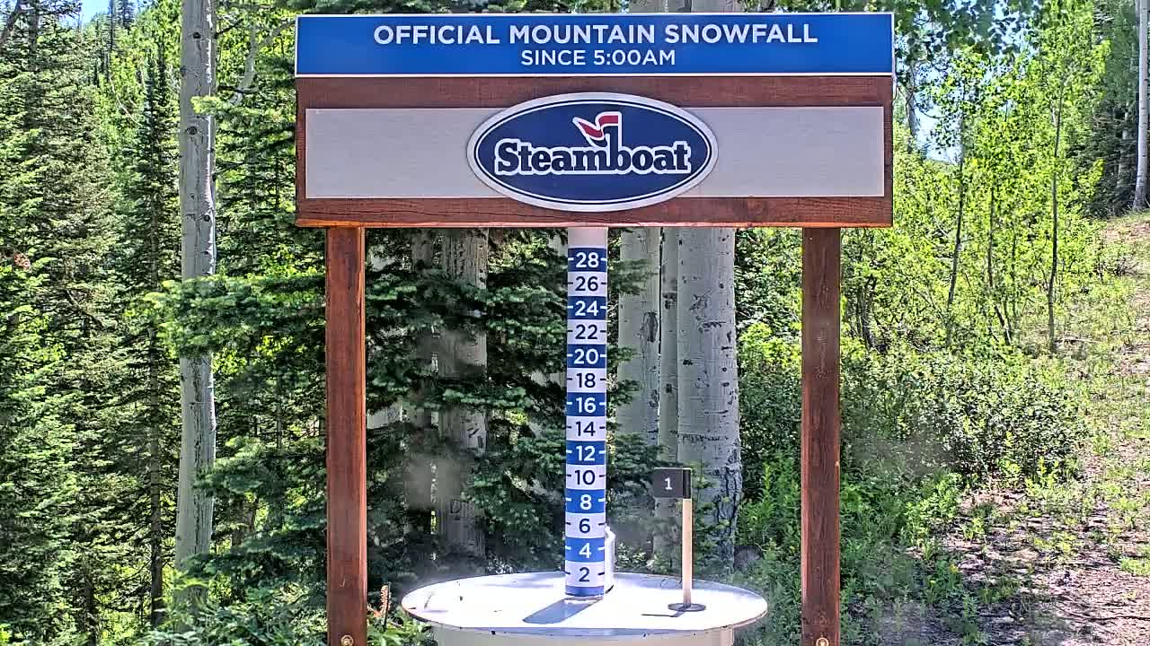 A snow measurement gauge shows snowfall accumulation in a forest of aspen and evergreen trees on a sunny day.
