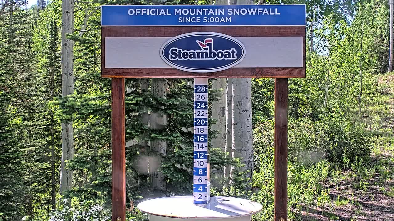 A wooden sign displaying a snowfall measurement device stands in a sunny forest.