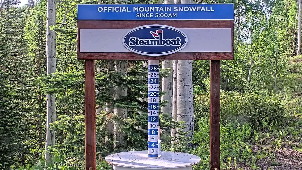 A snow-measuring device with a numbered scale stands in a forest of green trees on a sunny day.