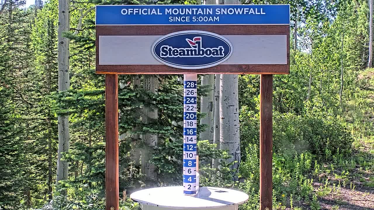 A snow measuring stick stands in a sunny forest next to a sign indicating the amount of snowfall.