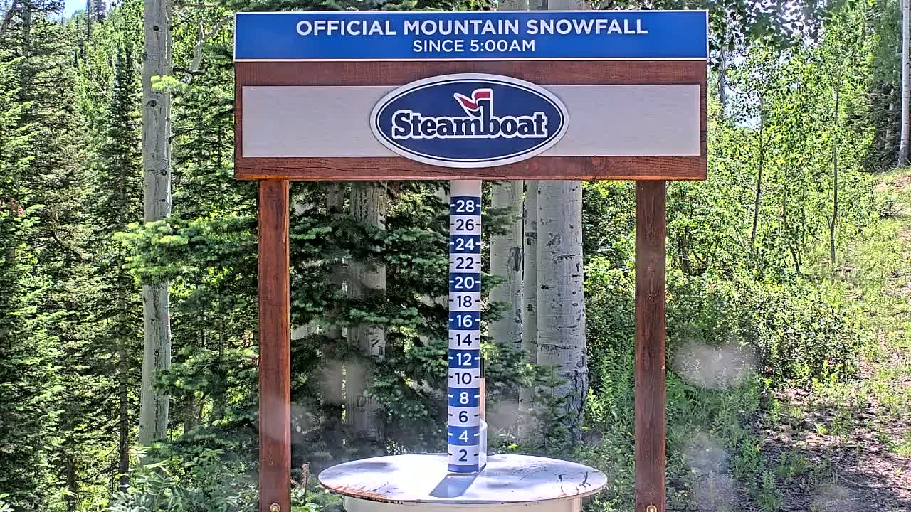 A snowfall measurement gauge displaying inches of snow stands in front of a lush green forest on a sunny day.