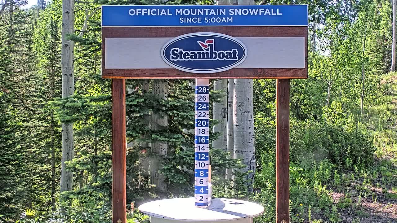 A wooden sign displaying a snowfall measurement gauge in a sunny forest setting.