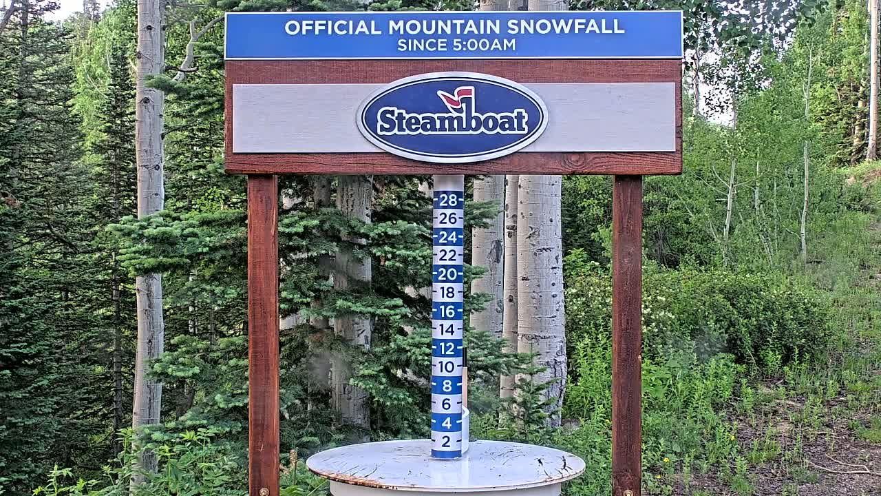 A wooden snow measurement gauge shows the snowfall amount in a forest of evergreens and aspen trees.