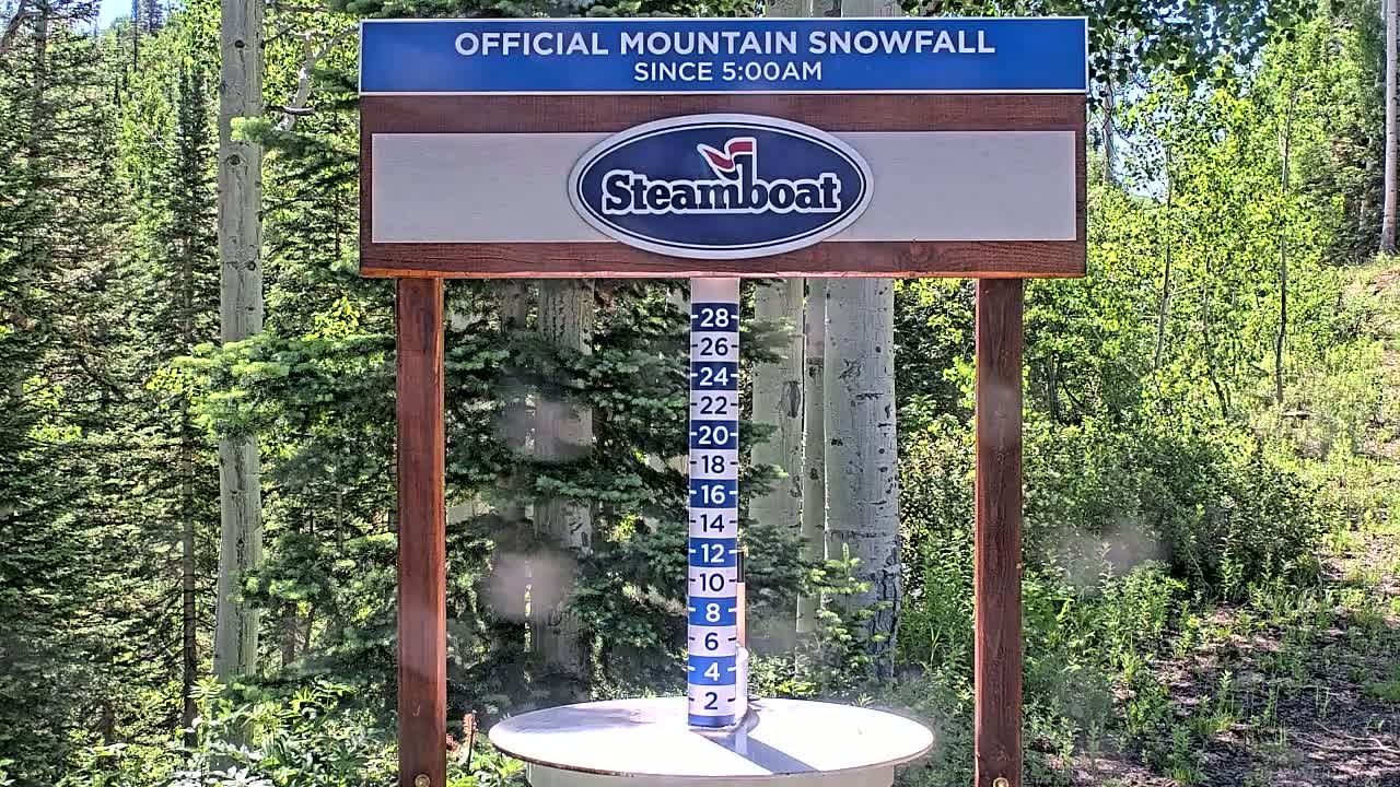 A wooden snow measurement gauge shows snowfall accumulation in front of a lush green forest on a partly sunny day.