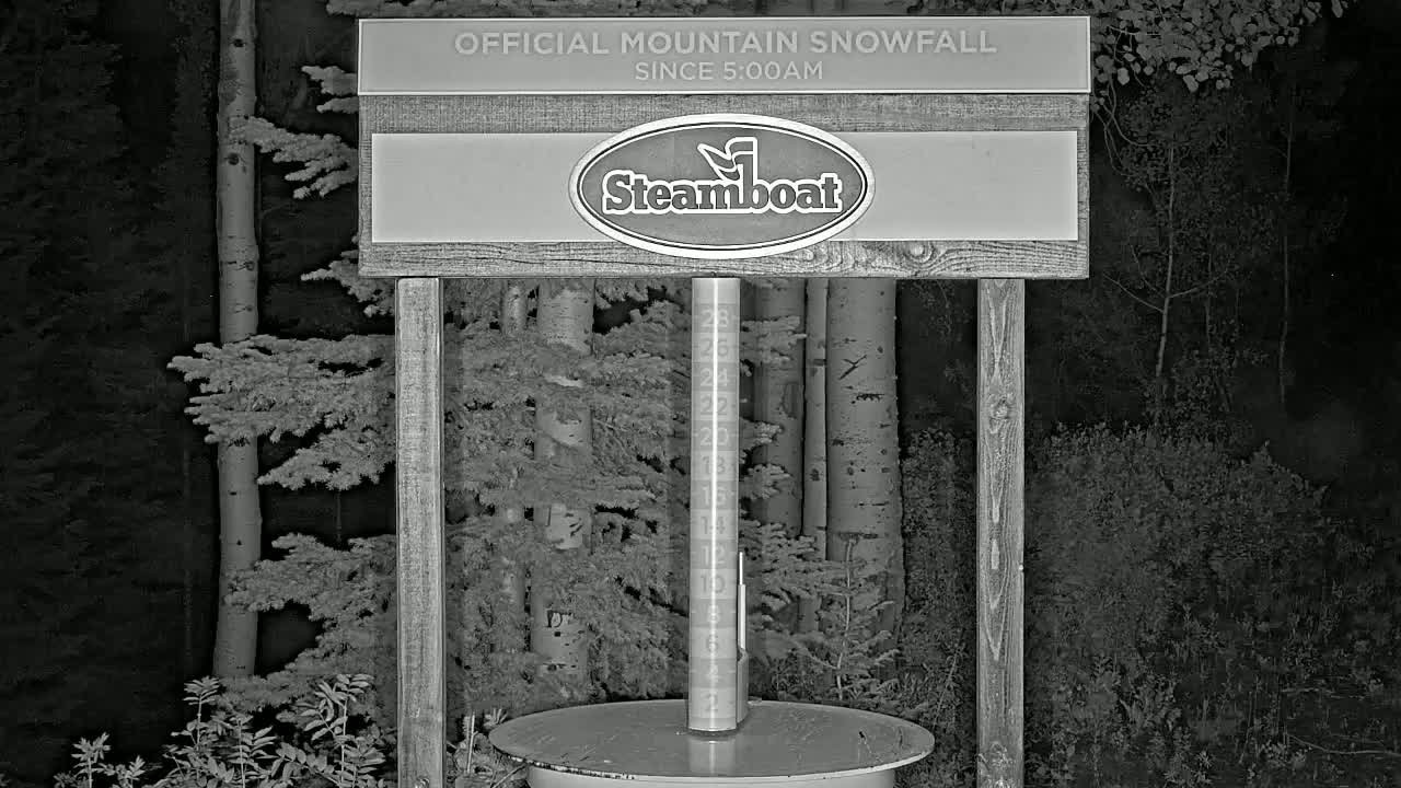 A nighttime snow gauge stands in a snow-covered forest of aspen trees.