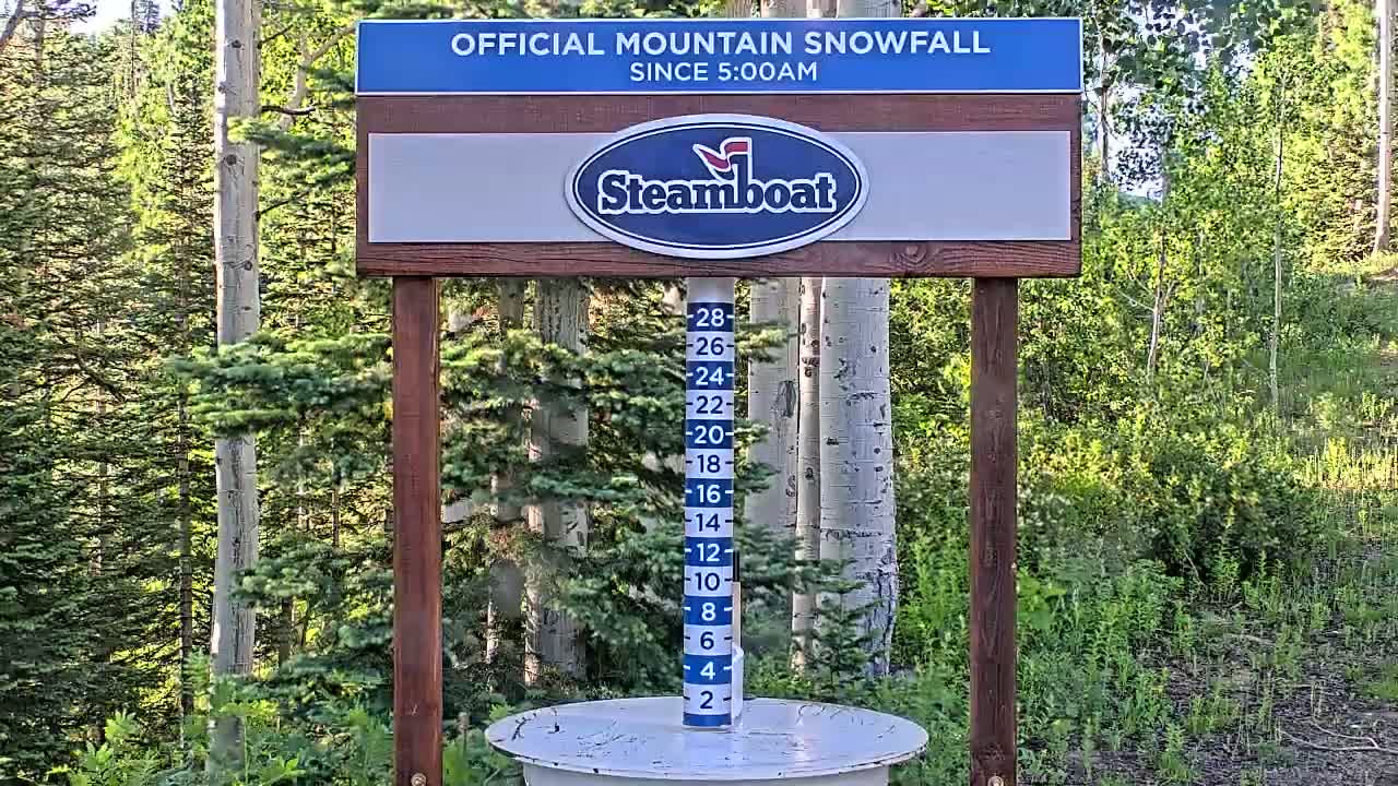 A wooden sign displaying a snowfall measurement in inches stands amidst a forest of aspen and evergreen trees on a sunny day.
