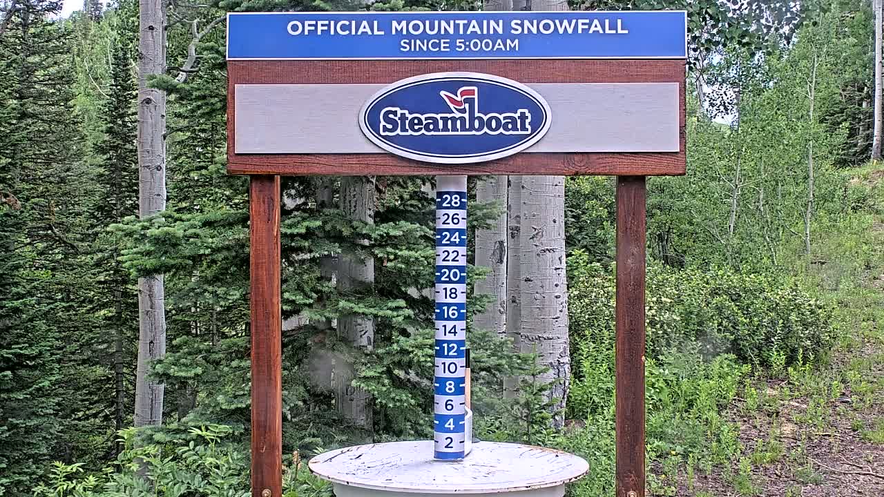 A wooden snow measurement gauge stands in a forest of evergreen and aspen trees.