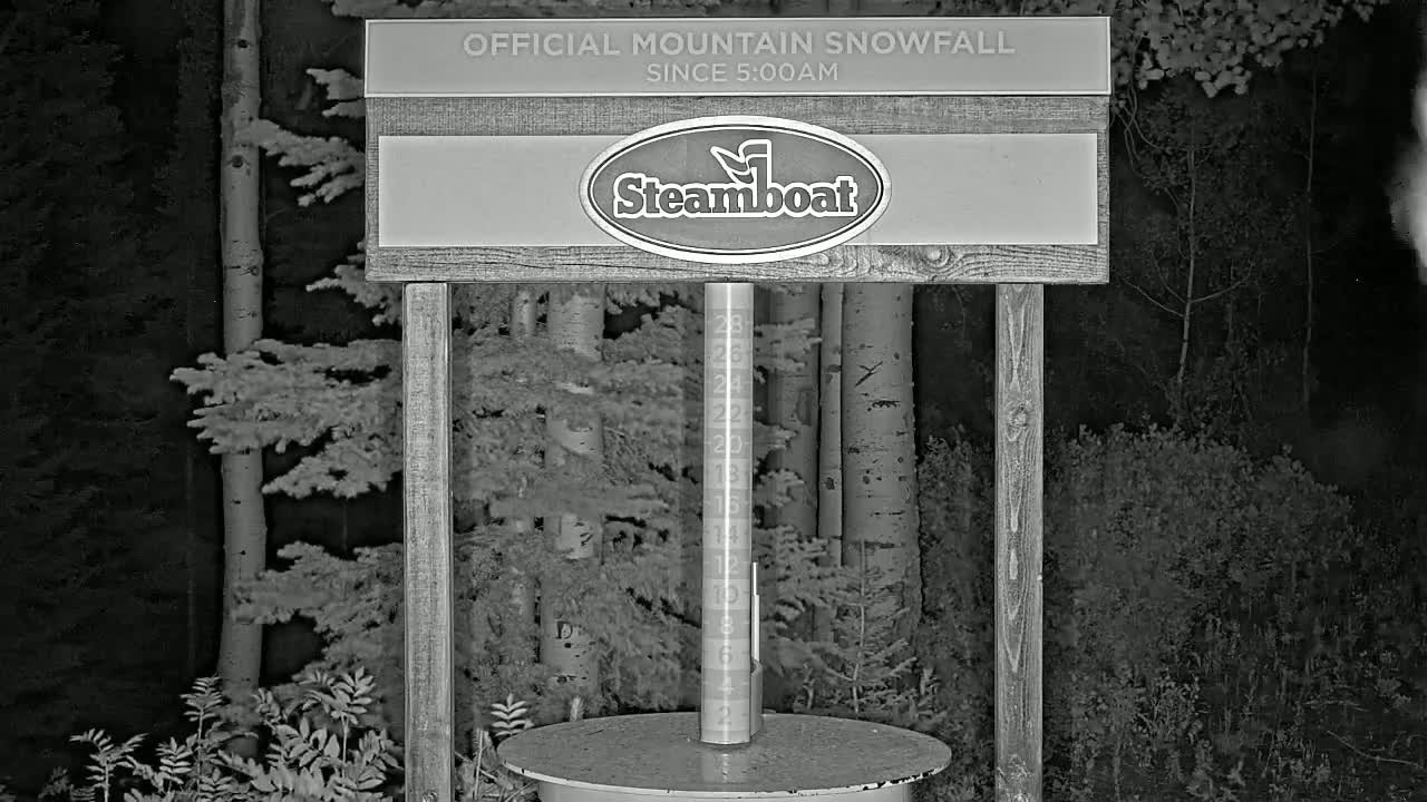 A nighttime, monochrome image shows a snow-measuring device mounted on a wooden post in a forest of aspen trees during snowfall.
