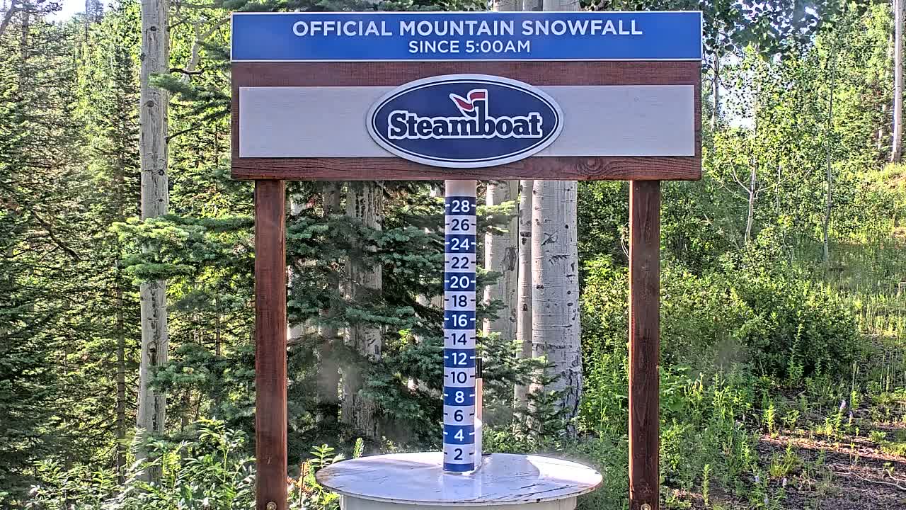 A snow measurement gauge stands on a white platform in a forest of evergreens and aspen trees under a sunny sky.