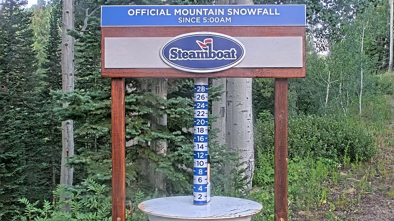A nighttime, snow-measuring device stands in a wooded area.