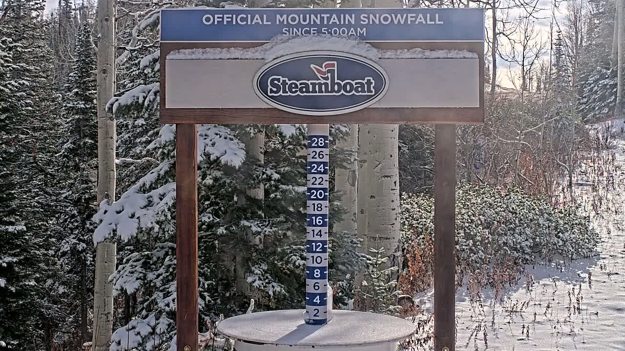 A nighttime, snow-covered scene shows a wooden snow gauge in a forest of aspen trees.