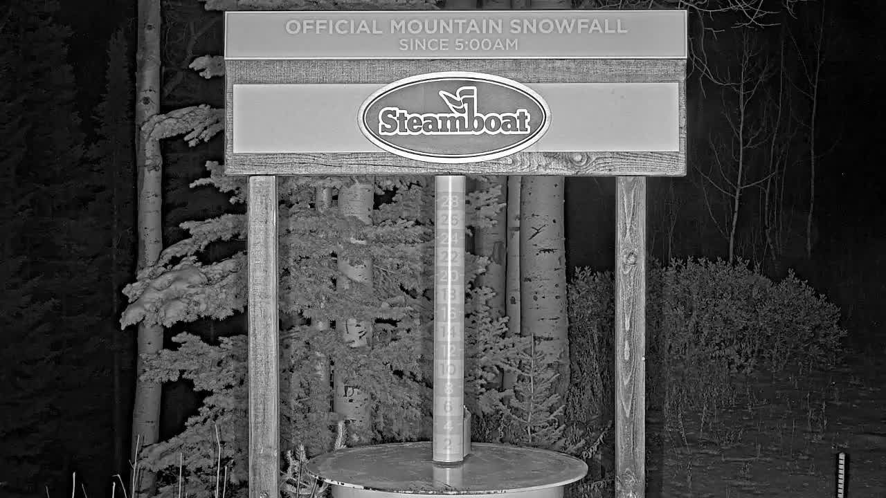 A snow depth gauge stands prominently amidst a snow-covered forest, captured in a dark, snowy outdoor scene.