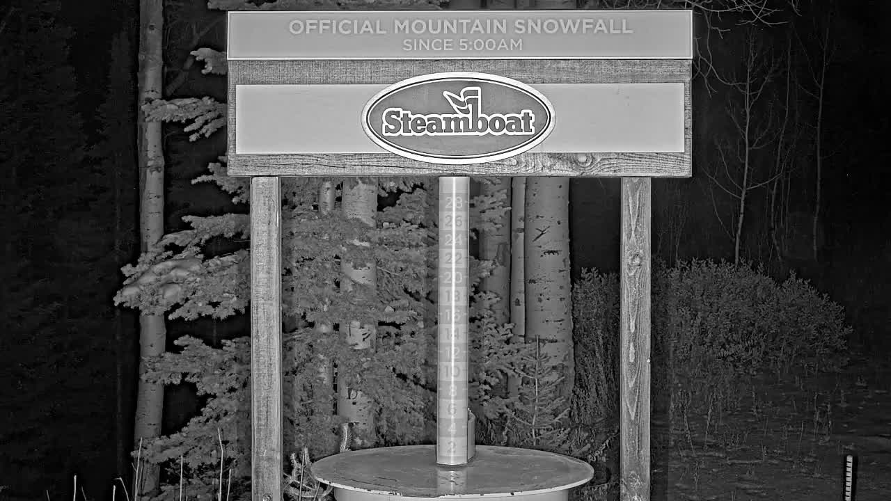 A black and white scene features a snow depth gauge measuring recent snowfall below a large wooden sign, surrounded by snow-dusted evergreen and aspen trees, under dark and snowy outdoor conditions.