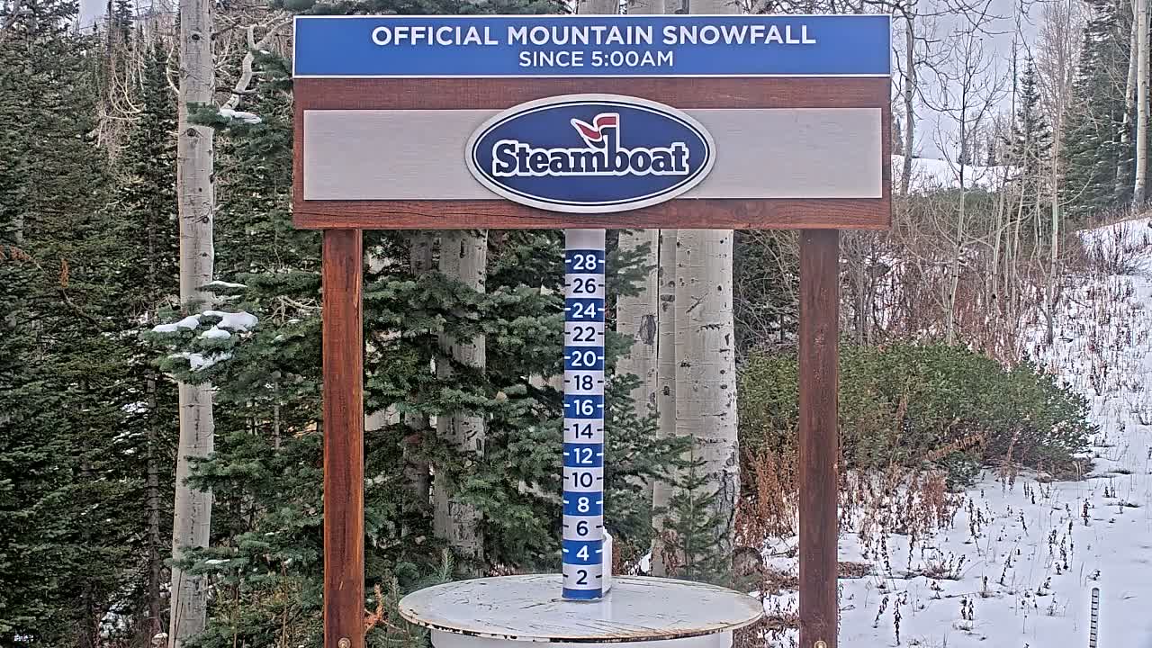 An outdoor snow depth measuring stick stands amidst a snowy forest of evergreen and bare deciduous trees under overcast winter skies.