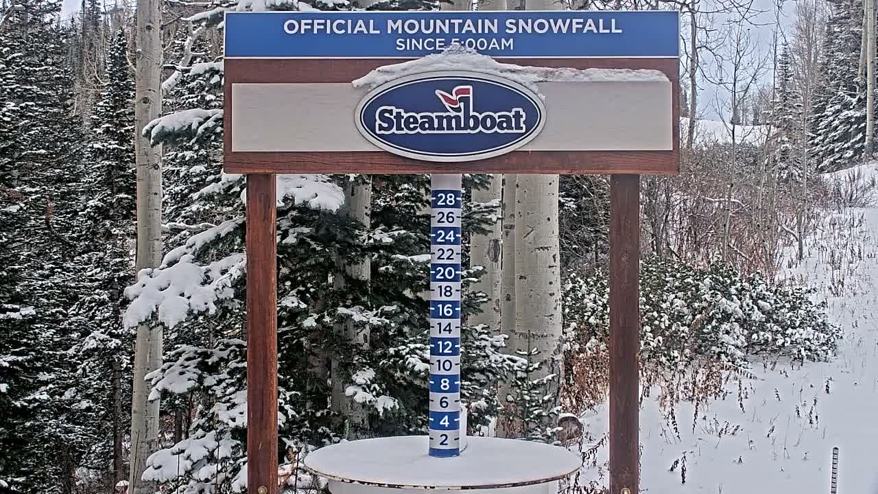 Steamboat Springs Mid-Mountain Snow Stake Live Cam - Steamboat Springs, Routt County, Colorado, USA